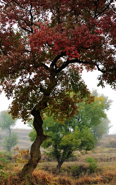 DSC_3024.jpg