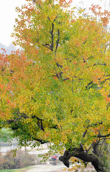 DSC_3064.jpg