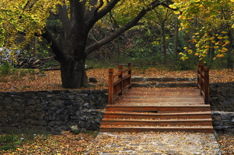 DSC_2787.jpg