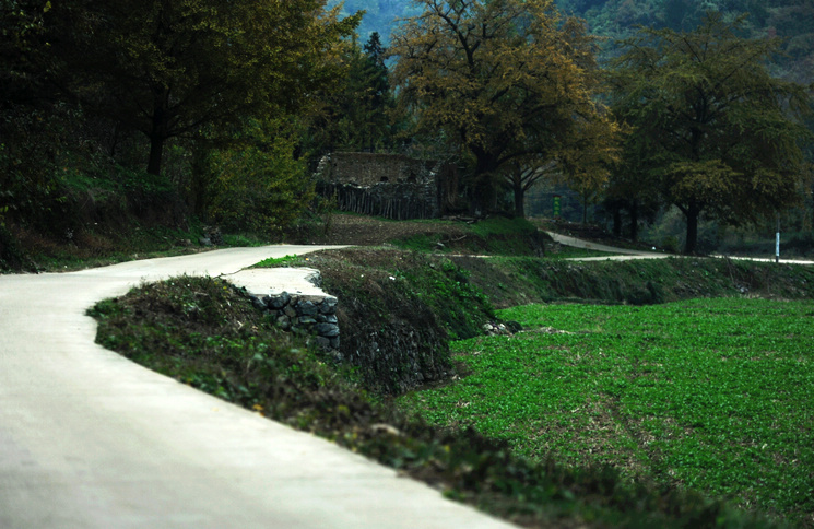 DSC_2651.jpg