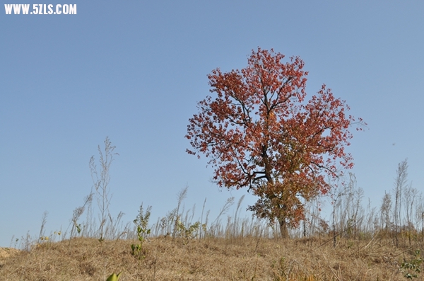 DSC_0558.JPG