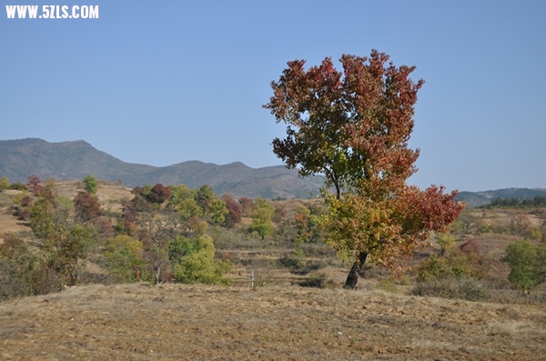 DSC_0544.JPG