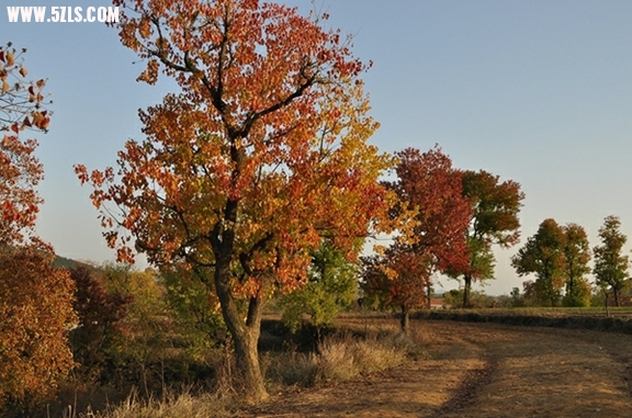 DSC_0570.JPG