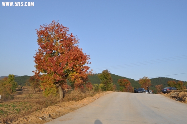 DSC_0578.JPG