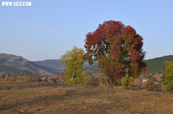 DSC_0589.JPG