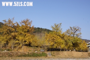 DSC02234_С.jpg