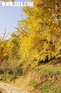 DSC02225_С.jpg