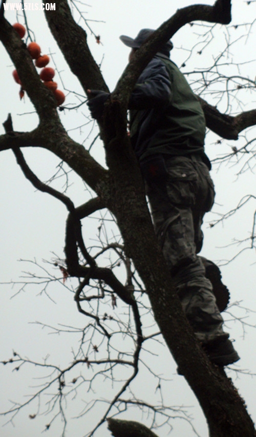 DSC08584_.jpg