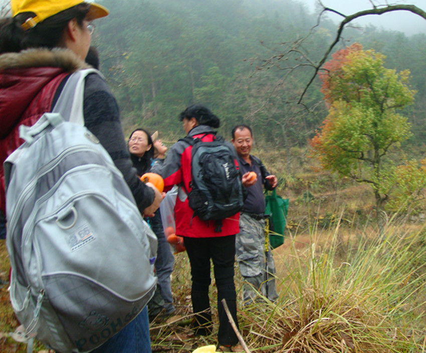 DSC08590_.jpg