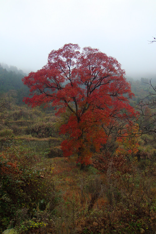 DSC08570_.jpg