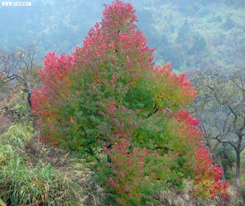 DSC08557_.jpg