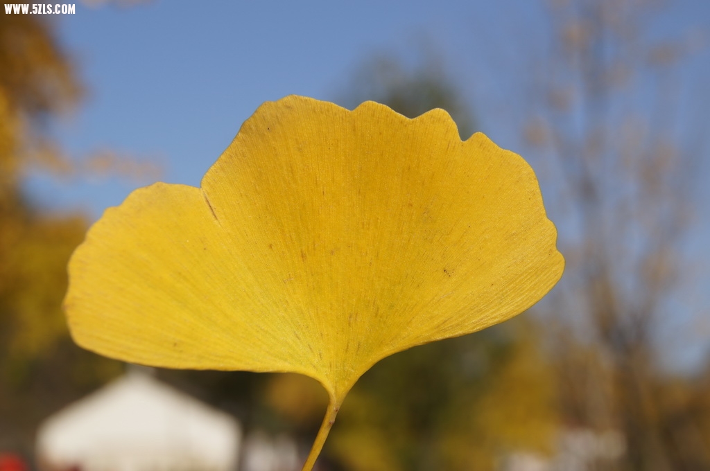 DSC02205_С.JPG