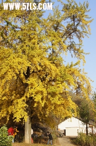 DSC02189_С.jpg