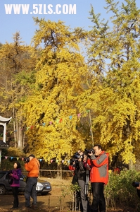 DSC02192_С.jpg