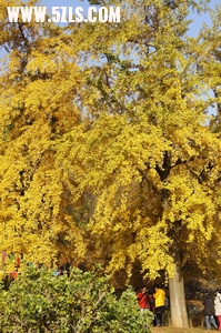 DSC02187_С.jpg