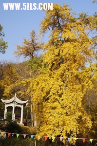 DSC02188_С.jpg