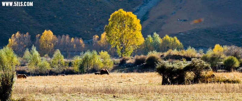 IMG_1000_СС.jpg