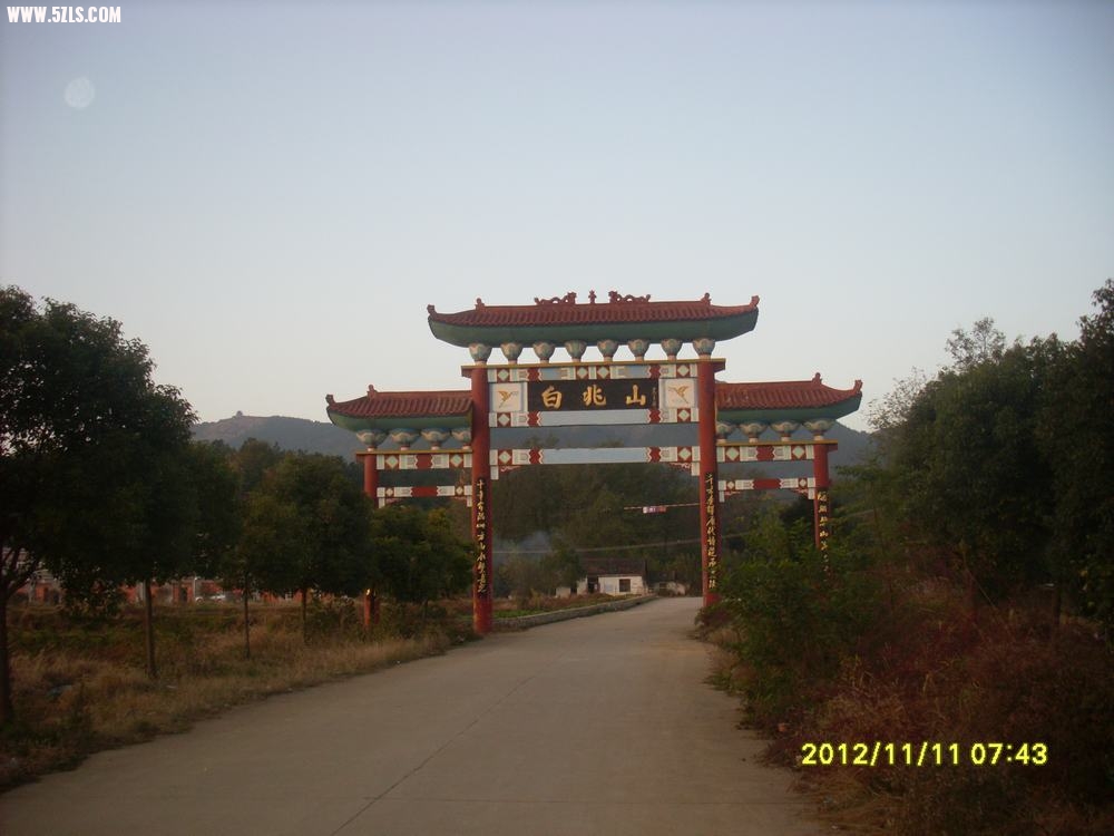SL381440.JPG