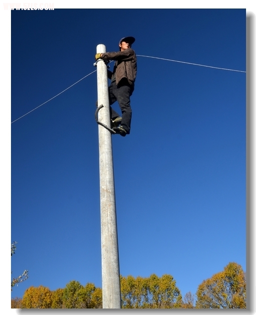 2012. 1157============.jpg