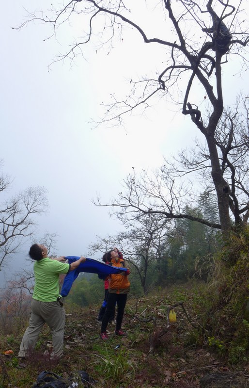 P1030499.jpg