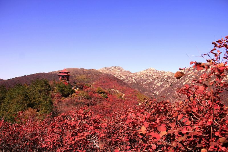 _MG_9630.jpg