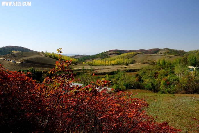 DSC_4997_003.jpg