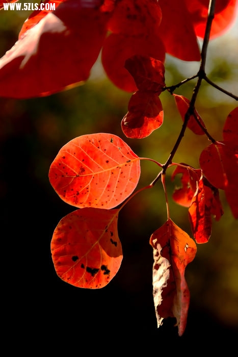 DSC_4836_000.jpg