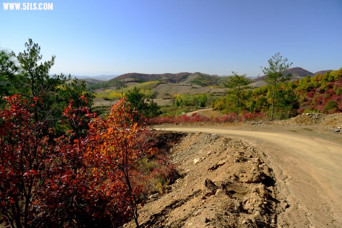 DSC_5051_010.jpg