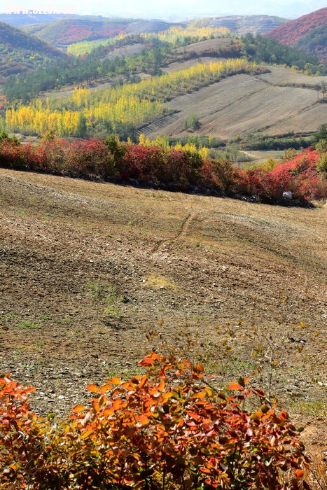 DSC_5096_014.jpg