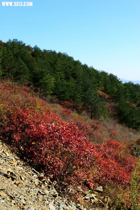 DSC_5134_018.jpg