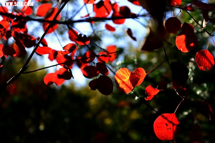 DSC_4774_000.jpg
