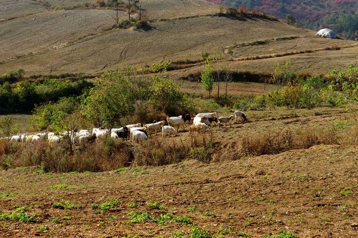 DSC_4963_002.jpg
