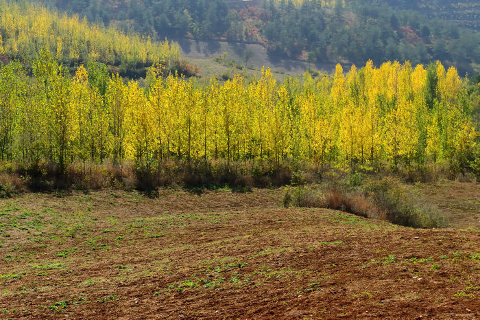 DSC_4969_003.jpg