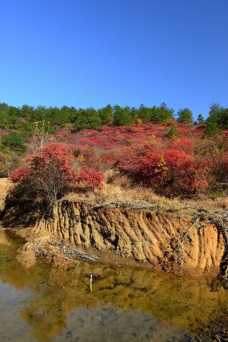 DSC_4984_004.jpg