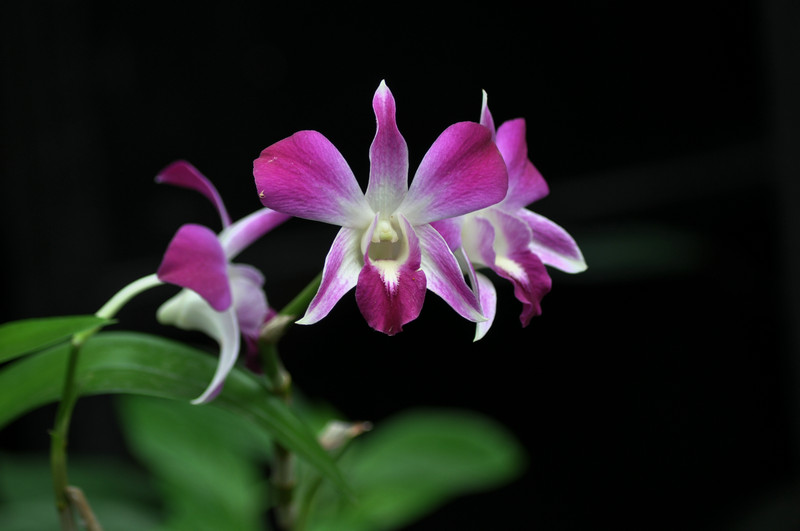 DSC_5692.jpg