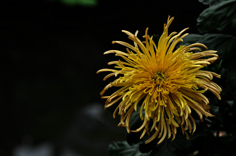 DSC_5708.jpg