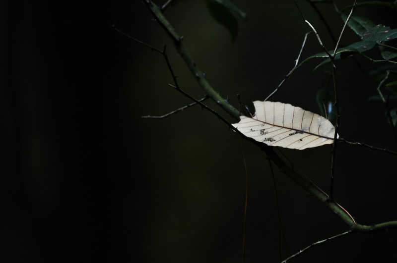 DSC_9619.jpg