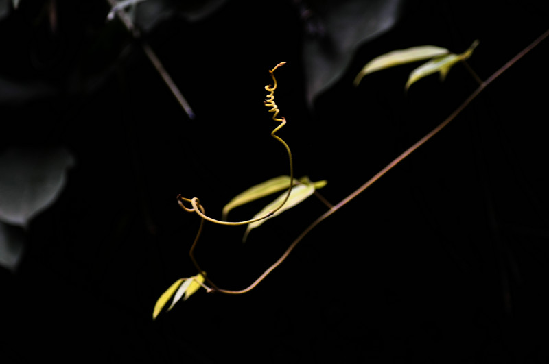 DSC_9502.jpg