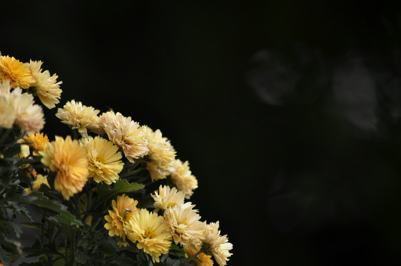 DSC_5669.jpg