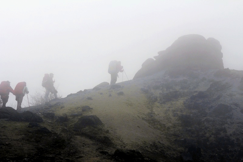 _MG_1221.jpg