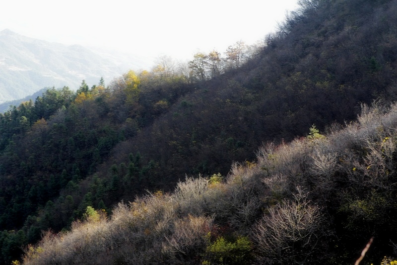 _MG_1328.jpg