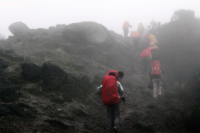 _MG_1219.jpg