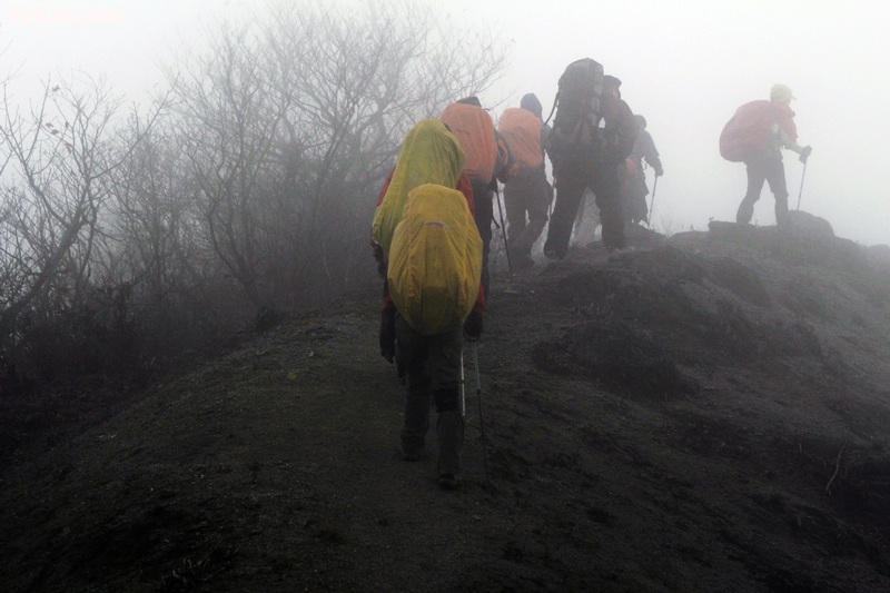 _MG_1223.jpg