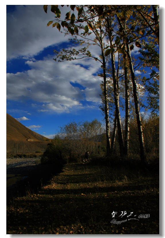 IMG_6485.jpg