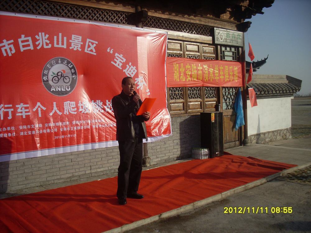 SL381480.JPG