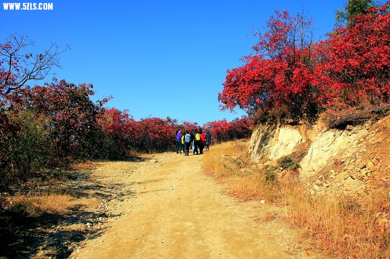 _MG_9142.jpg