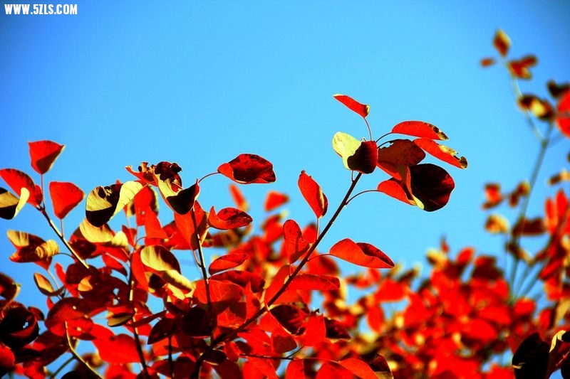 _MG_9151.jpg
