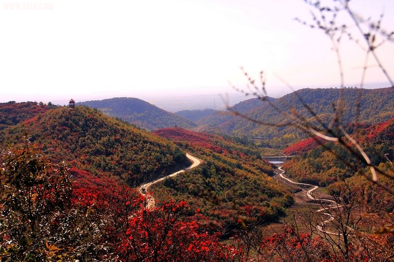 _MG_9224.jpg