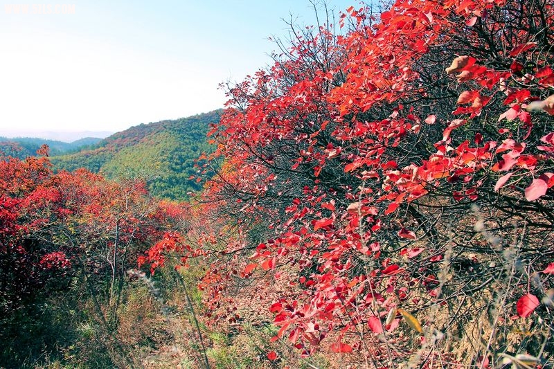 _MG_9319.jpg