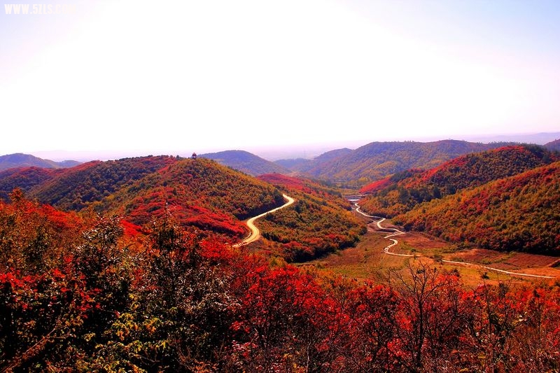 _MG_9339.jpg